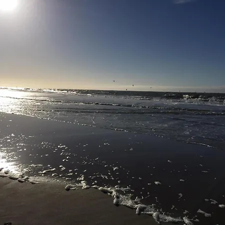 Haus Undine - 47 Appartement *